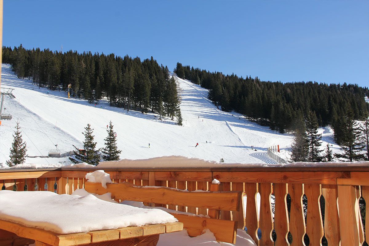 Gamshütte von außen