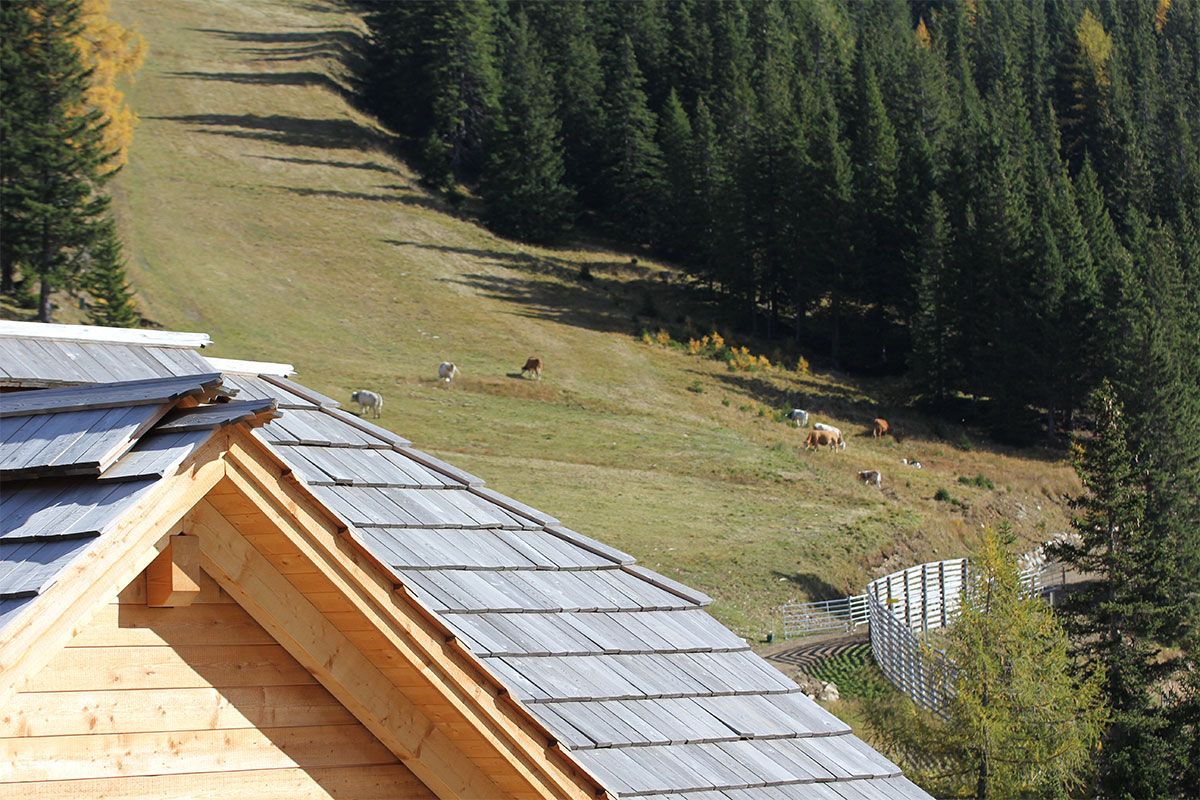 Gamshütte Umgebung im Sommer