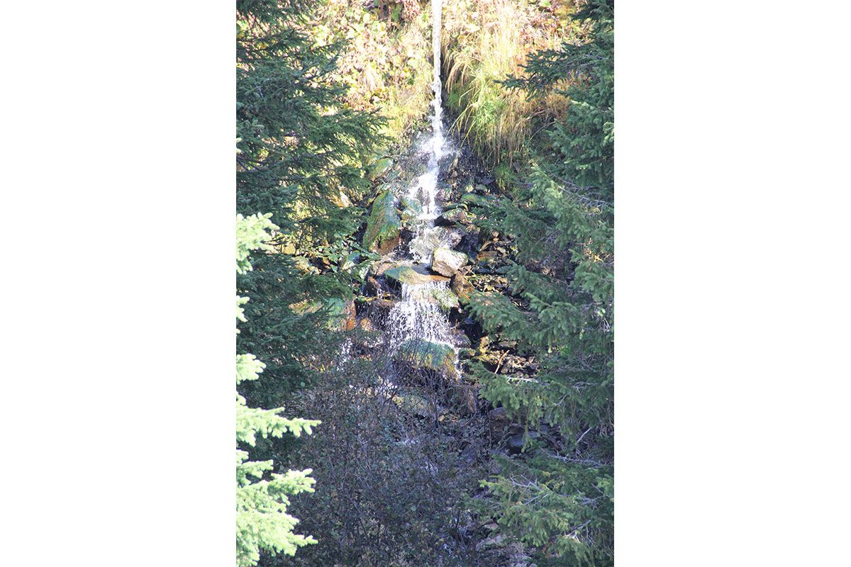 Gamshütte Umgebung im Sommer