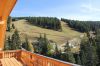 Gamshütte Umgebung im Sommer